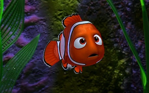 动画电影《海底总动员 Finding Nemo》全1集 英语中字 1080P/MKV/2G 百度云网盘下载-幼教库