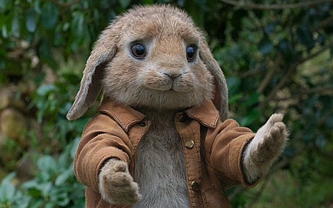 儿童搞笑冒险动画电影《比得兔 Peter Rabbit》全1集 国语版 1080P/MKV/7.07G 百度云网盘下载-幼教库