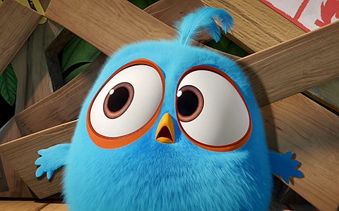 儿童动画片《愤怒的小鸟之蓝弟弟 Angry Birds Blues》全30集 720P/MP4/780M 动画片愤怒的小鸟之蓝弟弟全集下载