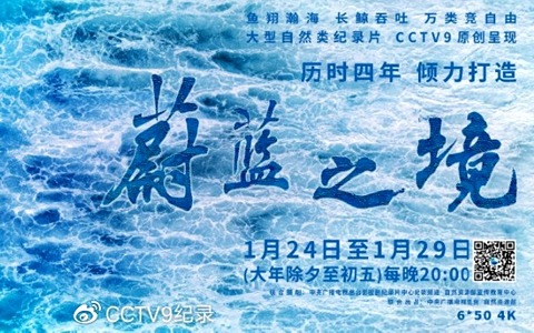 央视纪录片《蔚蓝之境 2020》全6集 国语版 1080P/TS/14.58G 中国近海生态纪录片