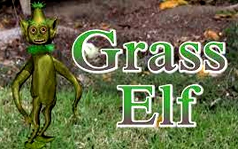 儿童动画片《草精灵 Grass ELF》全52集 国语版 1080P/MP4/3.05G 百度云网盘下载-幼教库