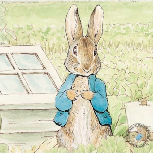 儿童文学《彼得兔的故事(新疆青少年出版社)》全30集MP3下载 彼得兔的故事(新疆青少年出版社)百度云网盘