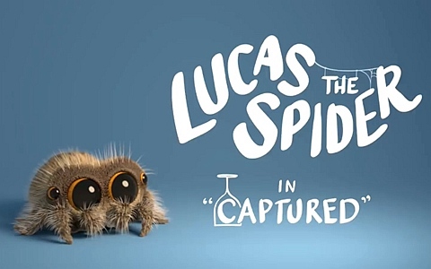 搞笑动画片《小蜘蛛卢卡斯 Lucas the Spider》全24集 英语英字 720P/MP4/45.2M 百度云网盘下载-幼教库
