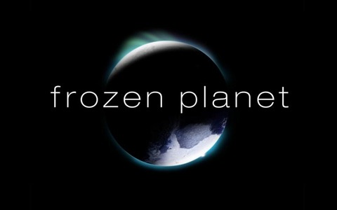 BBC纪录片《冰冻星球  Frozen Planet》全8集 国语中英双字 720P/MKV/21G 动画片冰冻星球全集下载