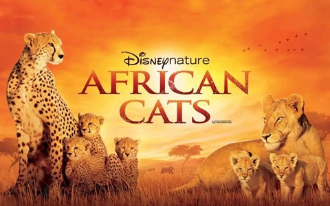 迪士尼纪录片《非洲猫科 African Cats》全1集 英语中英双字 1080P/MKV/9.24G 百度云网盘下载-幼教库