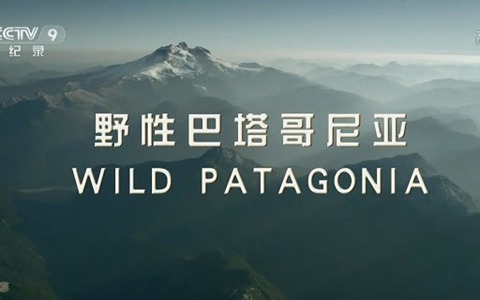 BBC纪录片《野性巴塔哥尼亚 Wild Patagonia》全3集 中英双语中字 720P/MKV/1.03G 百度云网盘下载-幼教库