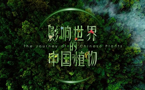 2019央视植物类纪录片《影响世界的中国植物》全10集 国语版 1080P/MP4/8.9G 百度云网盘下载-幼教库