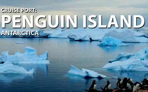 BBC纪录片《企鹅岛 Penguin Island》全6集 英语英字 720P/MKV/5G 动画片企鹅岛全集下载