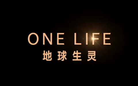 BBC英语纪录片《地球生灵 One Life》全1集 英语中英双字 1080P/MP4/1.99G 百度云网盘下载-幼教库